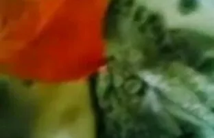 Esmeralda फॉक्स हिंदी सेक्सी वीडियो फुल मूवी एचडी गुदा