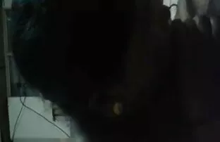 एमेच्योर बिग लंड सुनहरे सेक्सी मूवी पिक्चर फुल एचडी बालों वाली कट्टर पीओवी किशोर