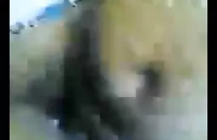 होली की तंग बिल्ली एक सेक्सी मूवी पिक्चर फुल एचडी गर्म व्याकुलता है