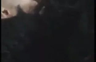 बिल्ली चाट समलैंगिकों मज़ा सेक्सी हिंदी फुल एचडी है