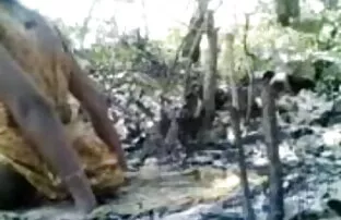 समूह भाड़ में जाओ साइट - बड़े स्तन मॉडल हिंदी मूवी सेक्सी फुल एचडी एजेंट सिखाता है उसे लड़कियों कैसे ड्राइव करने के लिए मुर्गा