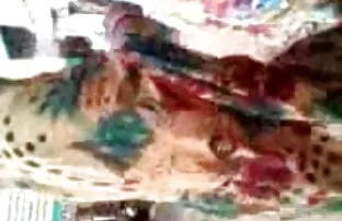 जन्मदिन जानवरों की सेक्सी फिल्म फुल एचडी बिल्ली खेलने पं.2